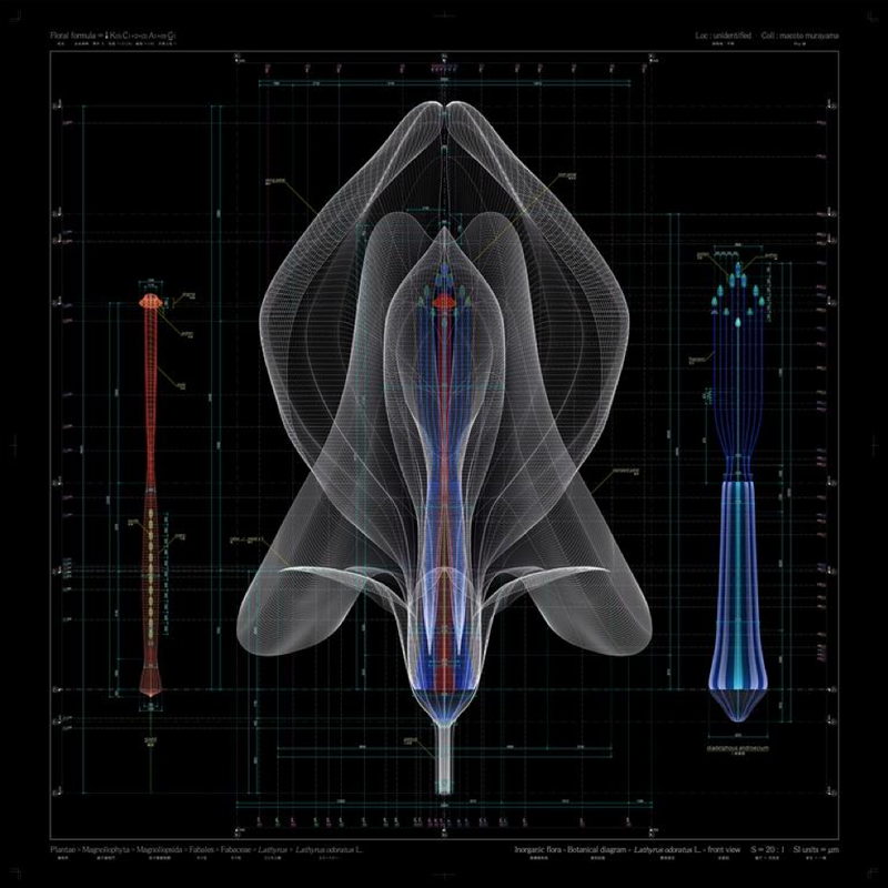 Illustration for article titled Intricate, Ultra-Accurate Blueprints of Botanical Life